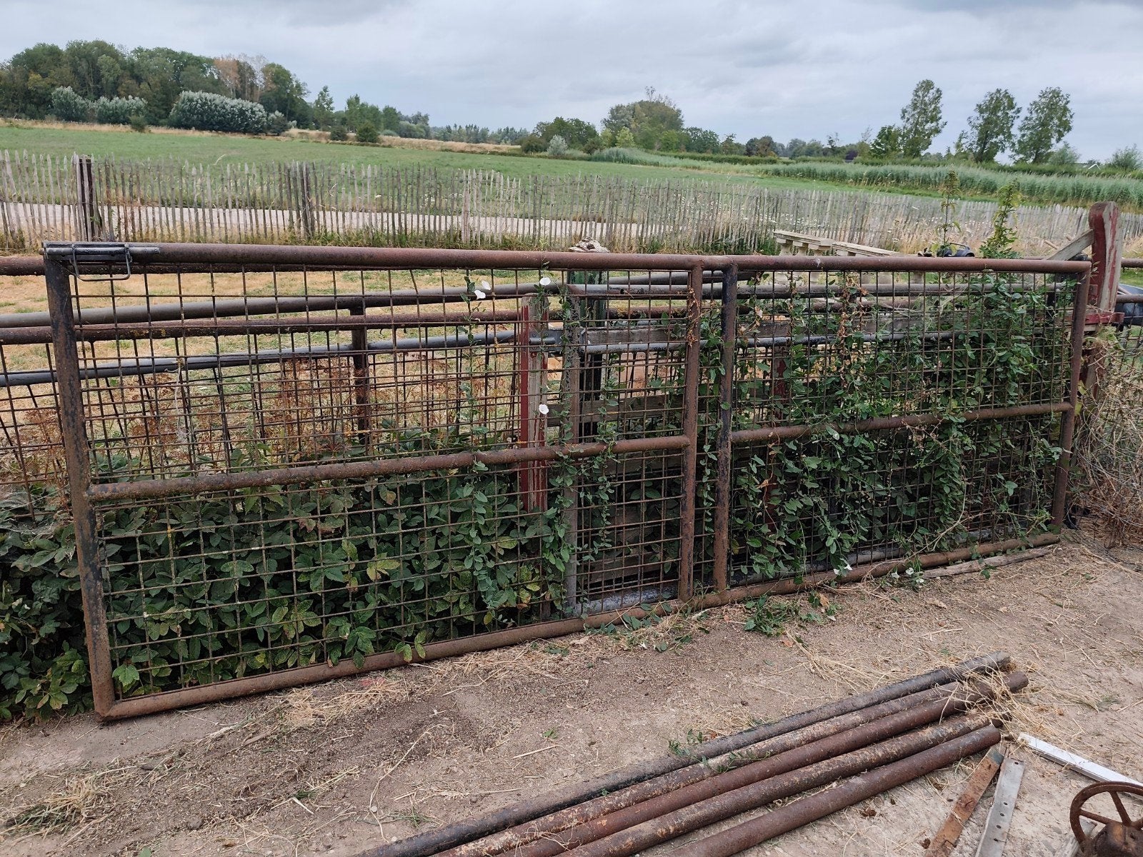 Oude Poort/ ijzer /hekwerk /afrastering, Ophalen, Gebruikt, IJzer, Overige typen