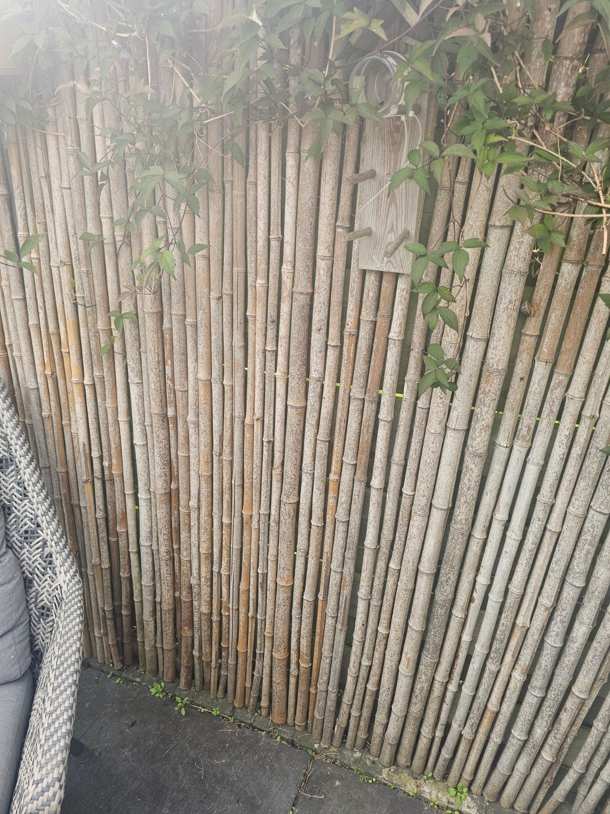 dikke Bamboe tuinscherm - Natuurlijke afscheiding, Tuin en Terras, Ophalen, 6 meter of meer, Hout, 1 tot 2 meter