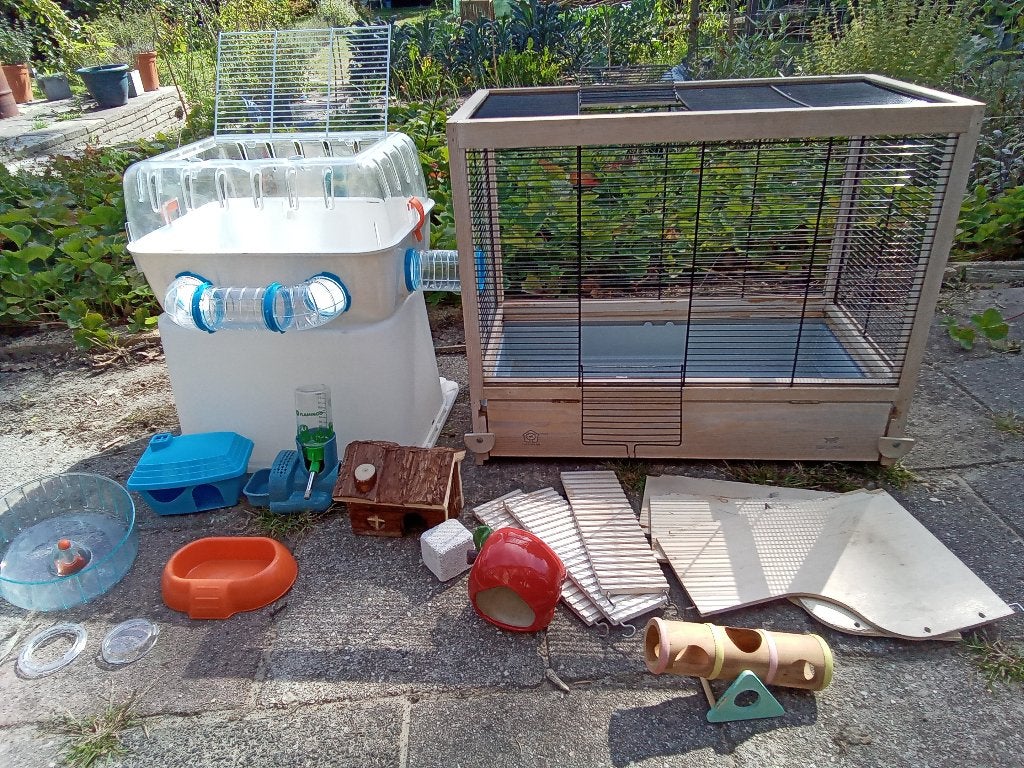 Hamsterkooi, Dieren en Toebehoren, Knaagdieren en Konijnen | Hokken en Kooien, Kooi, Gebruikt, Minder dan 75 cm, Muis