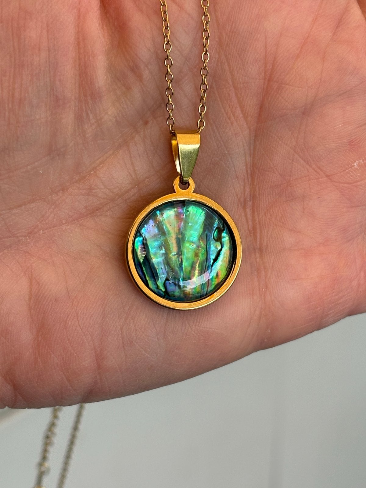 Abalone Schelp Hanger Ketting - Goudkleurig RVS, Nieuw, Cariadgems@hotmail.com, Ophalen of Verzenden, Cariad Gems