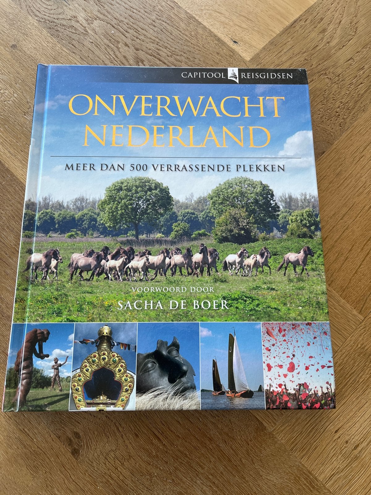 Onverwacht Nederland - Capitool Reisgids, Capitool, Ophalen of Verzenden, Zo goed als nieuw, Reisgids of -boek