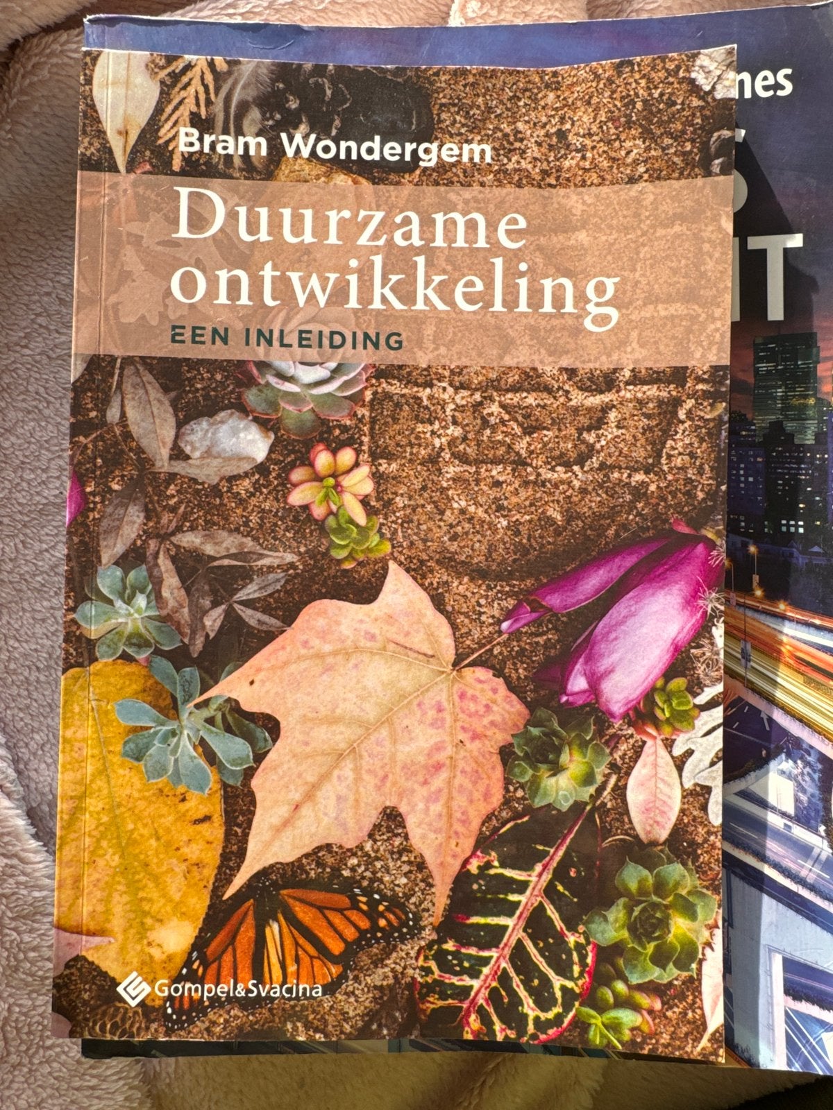 Bram Wondergem - Duurzame ontwikkeling, Bram Wondergem, Ophalen of Verzenden, Zo goed als nieuw, Nederland