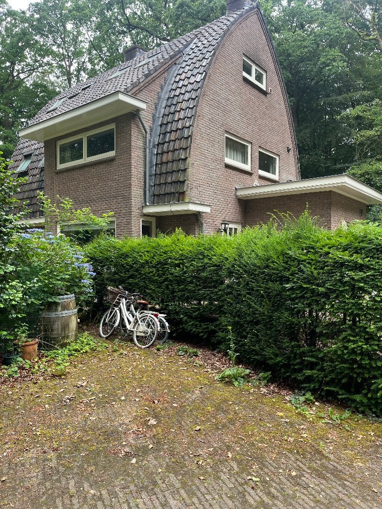 taxus haag 17 meter lang en ca. 2 meter hoog, Tuin en Terras, Ophalen, Vlinderstruik, Haag, 250 cm of meer