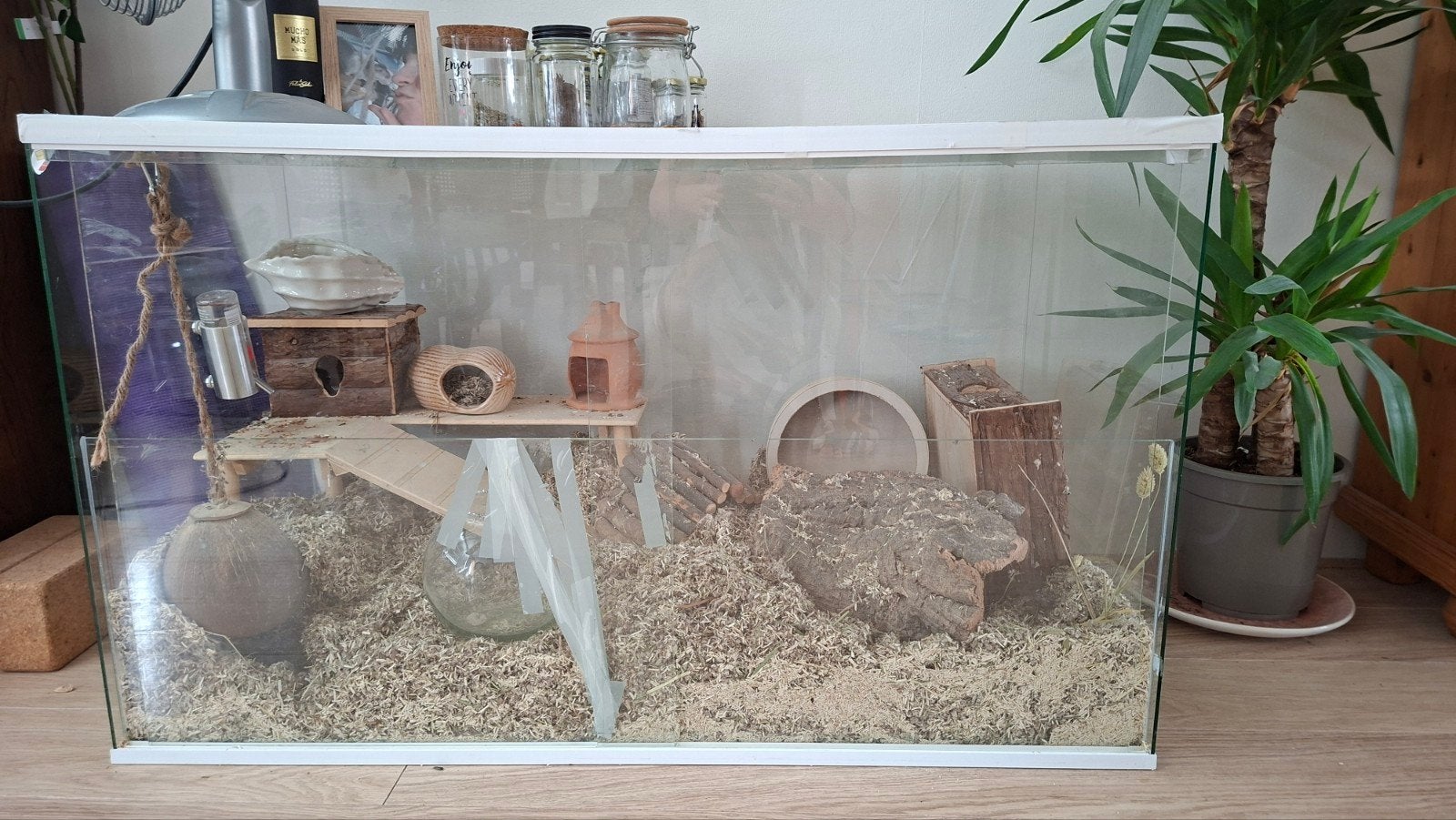 Glazen terrarium 100x50x60, Ophalen, Leeg aquarium