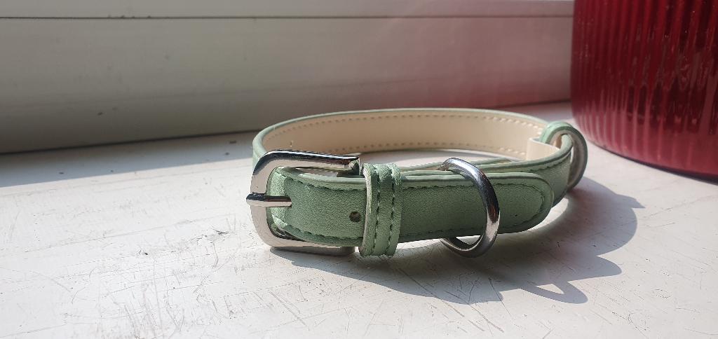 Honden halsband, Ophalen of Verzenden, Nieuw