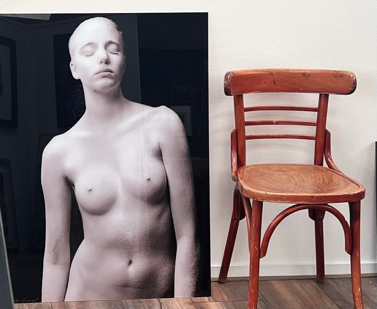 Paul Blanca fantastische foto op dibond, Guillia uit Kristal, Antiek en Kunst, Kunst | Tekeningen en Foto's, Ophalen