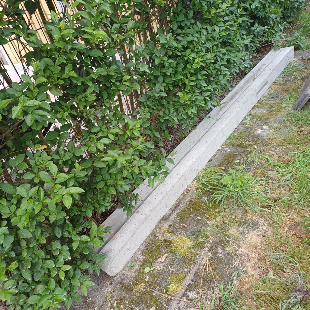 Afstampbetonpaal, Tuin en Terras, Schuttingen, Ophalen of Verzenden, Hout, Minder dan 3 meter