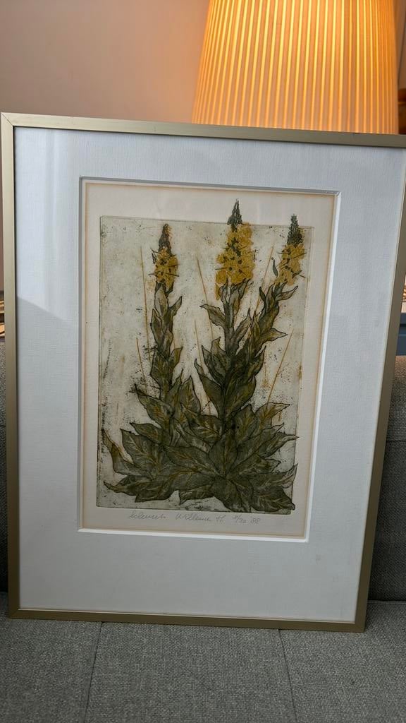 Vintage kleurenets ets Willemien Holterman Gele Toorts, Ingelijst, Ophalen of Verzenden, Flora en Fauna, 1950 - 1999
