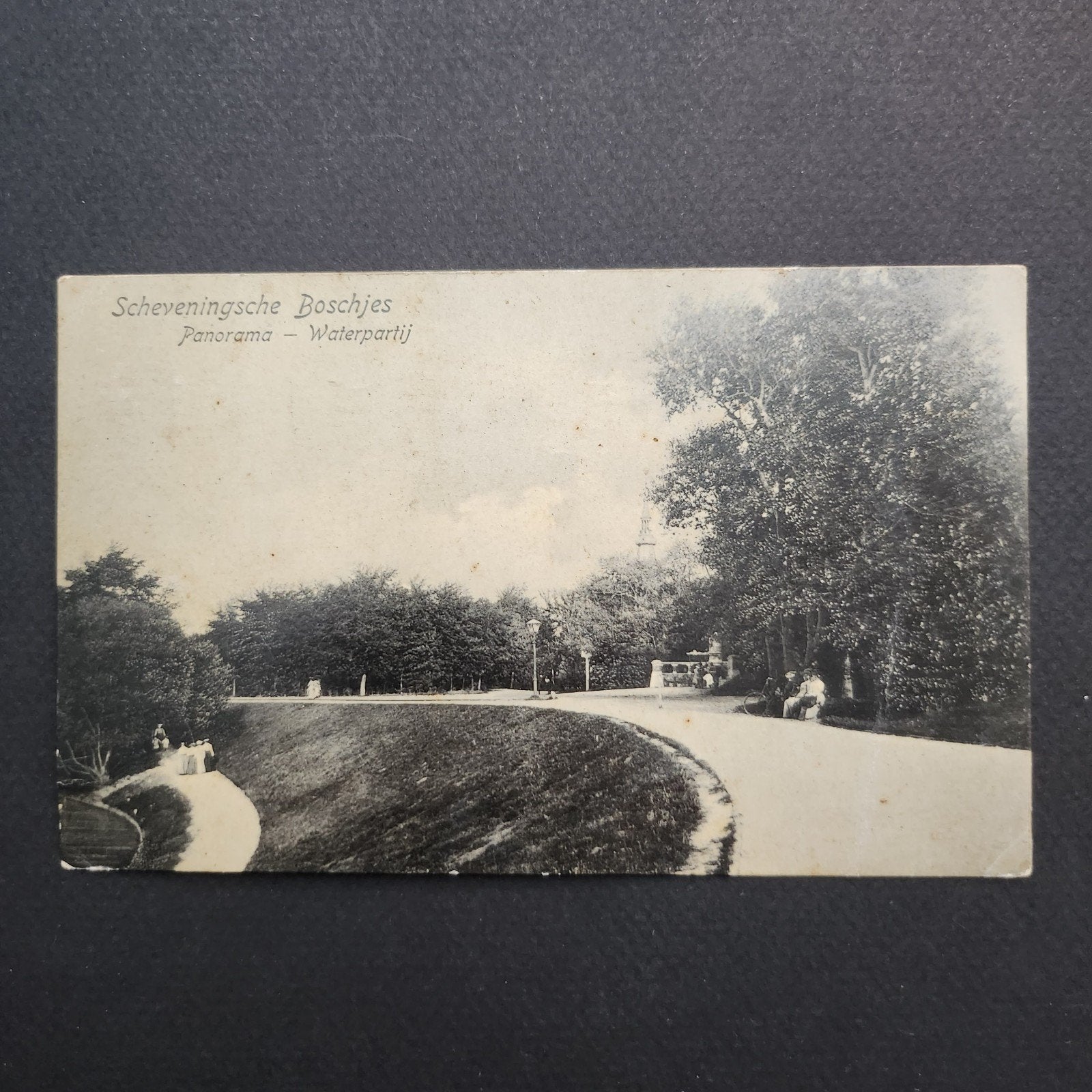 Oude Ansichtkaart Scheveningse Boschjes - Gelopen 1906, Verzenden, Voor 1920, Gelopen, Zuid-Holland