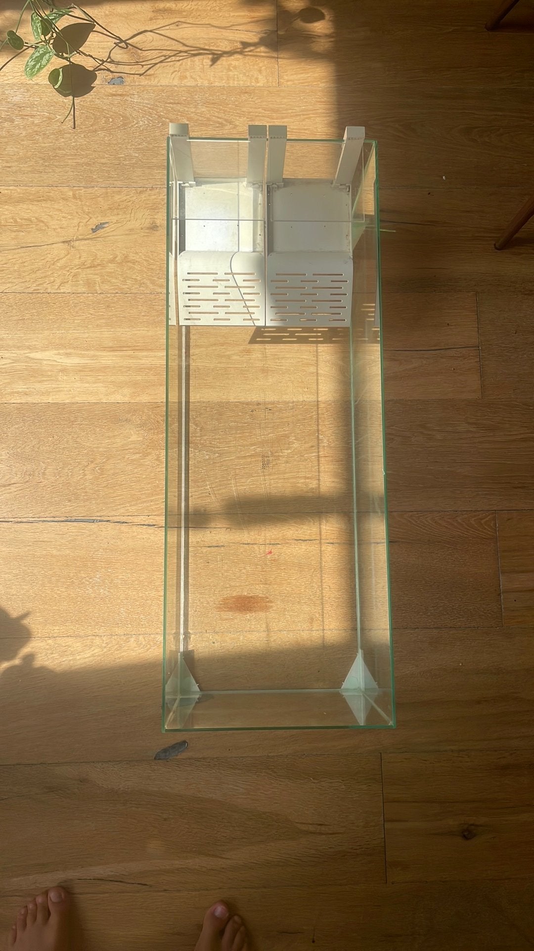 Terranium schildpadden, Ophalen, Gebruikt, Minder dan 80 cm, 80 tot 120 cm