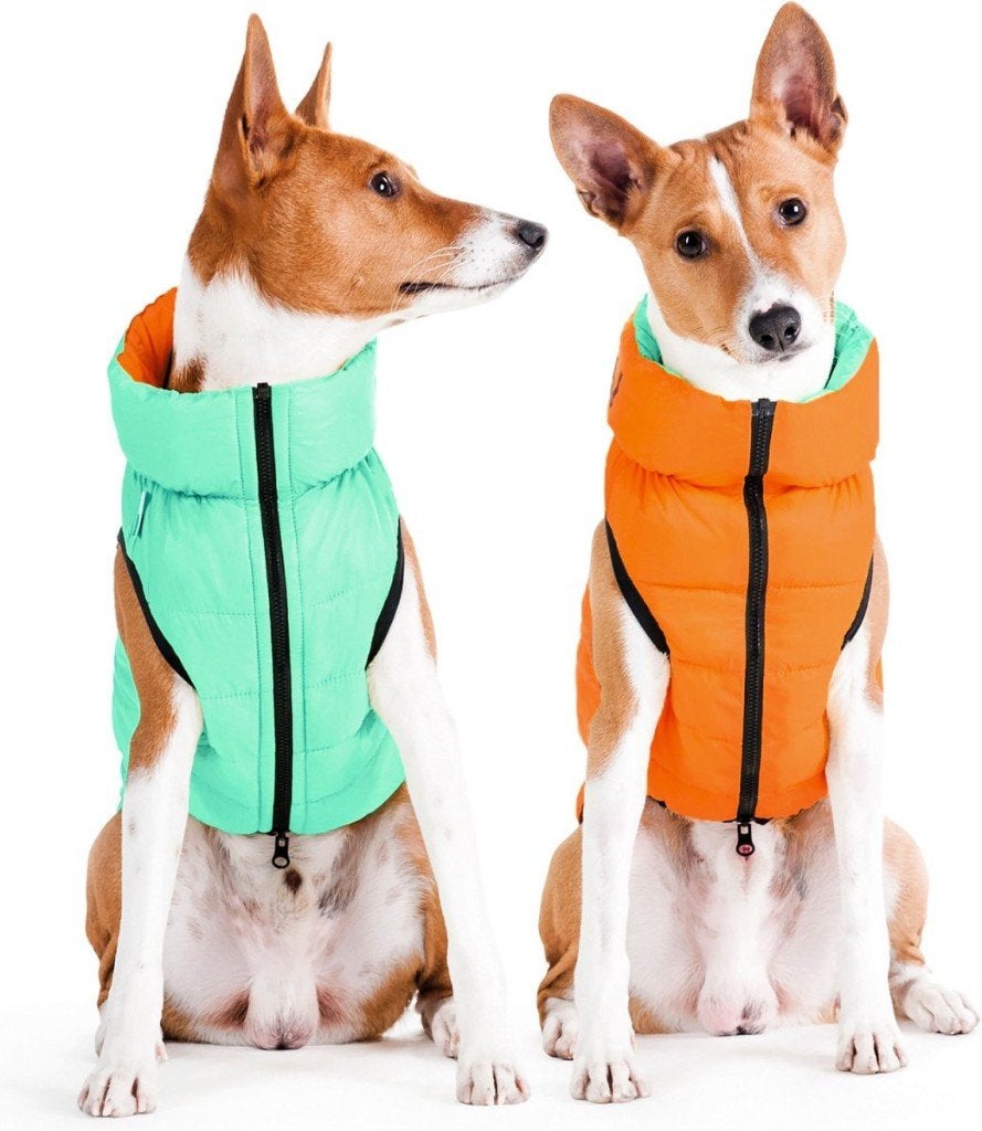 AiryVest Hondenjas Lichtgevend XS22 Lightgreen-Orange -50%!, Dieren en Toebehoren, Ophalen of Verzenden, Nieuw, Hondenjas