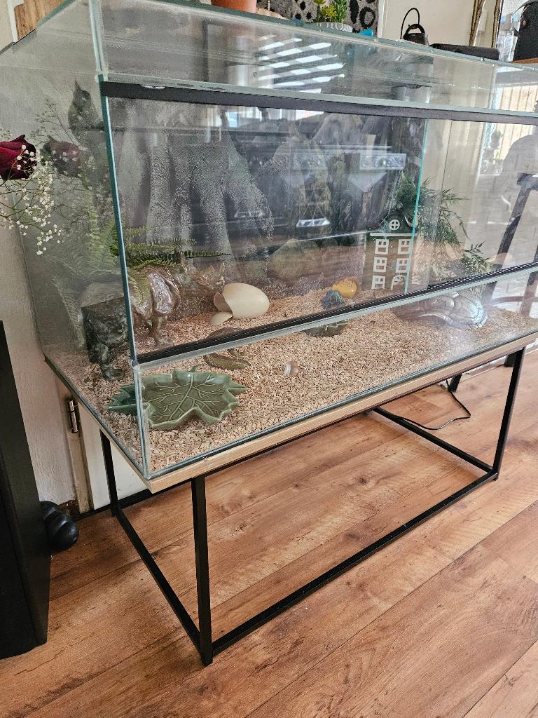 Terrarium met 2 baby rattenslangen, Dieren en Toebehoren, Ophalen, Gebruikt, Terrarium of Paludarium