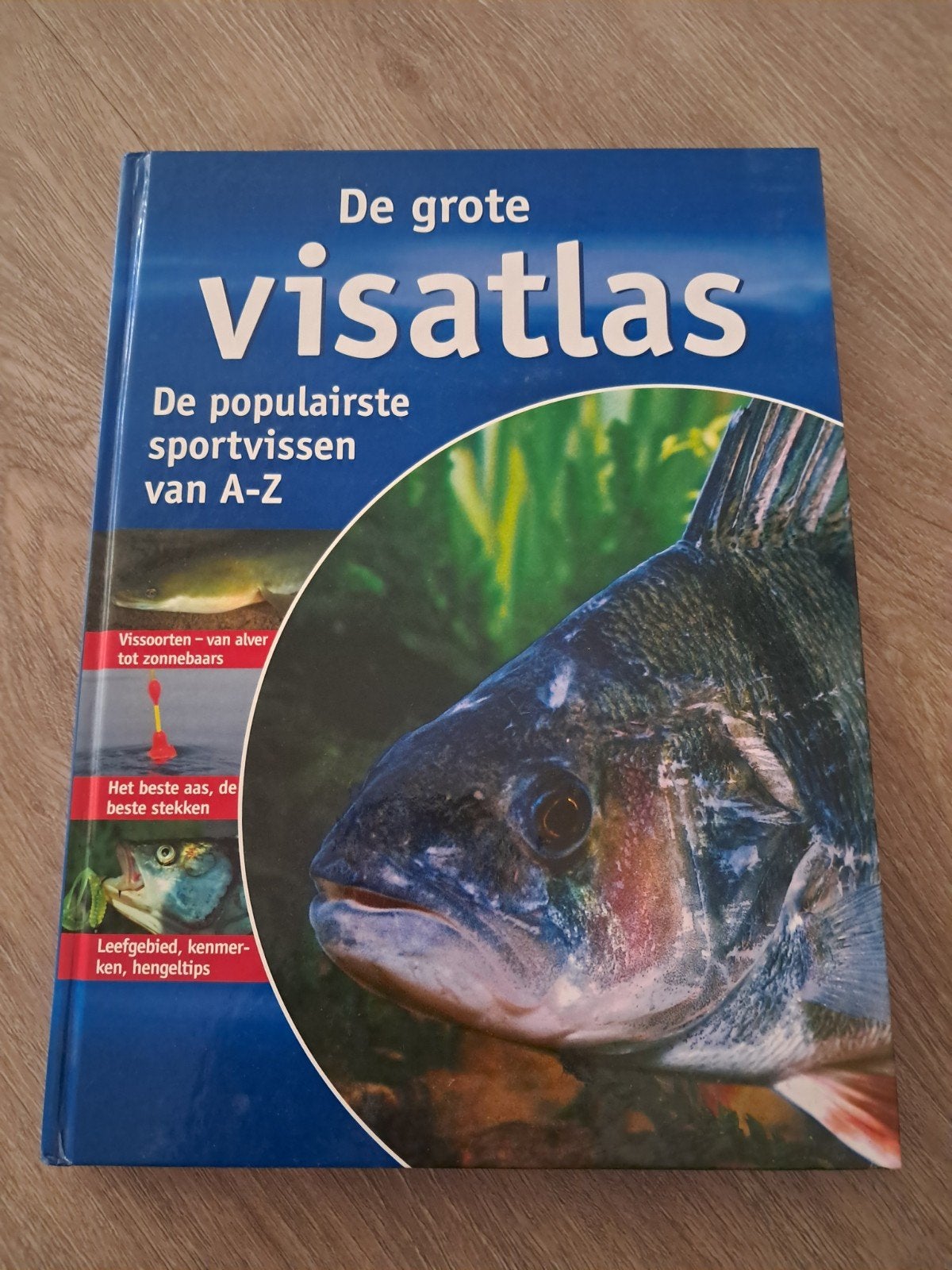 P: De Grote Visatlas: Populairste Sportvissen A-Z, Boeken, Ophalen of Verzenden, Gelezen, Watersport en Hengelsport