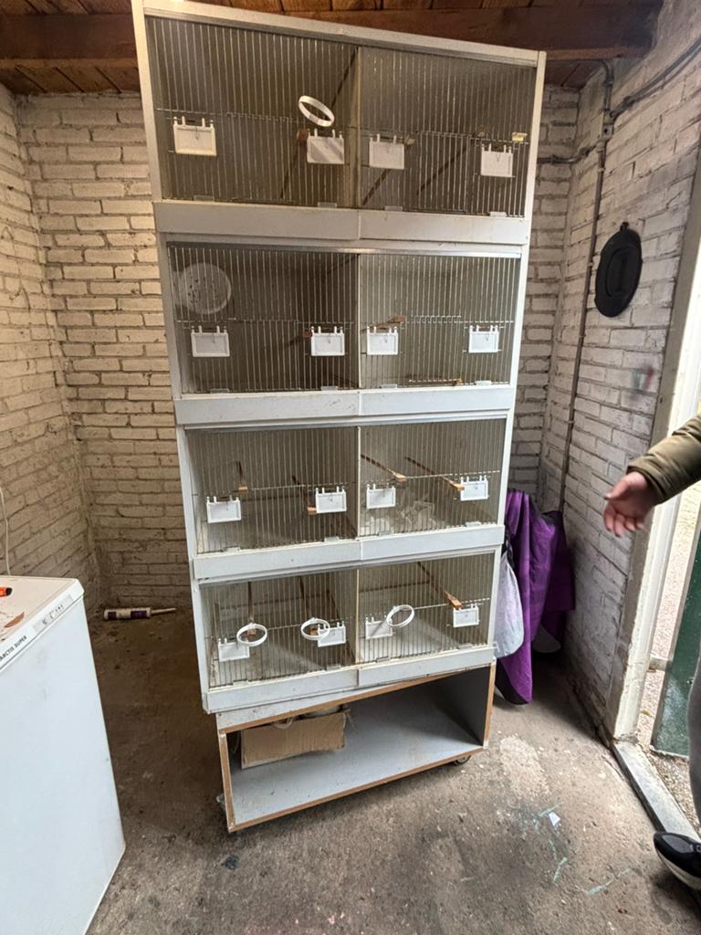Vogelkooi, Dieren en Toebehoren, Vogels | Hokken en Kooien, Ophalen of Verzenden, Hout, Vogelkooi