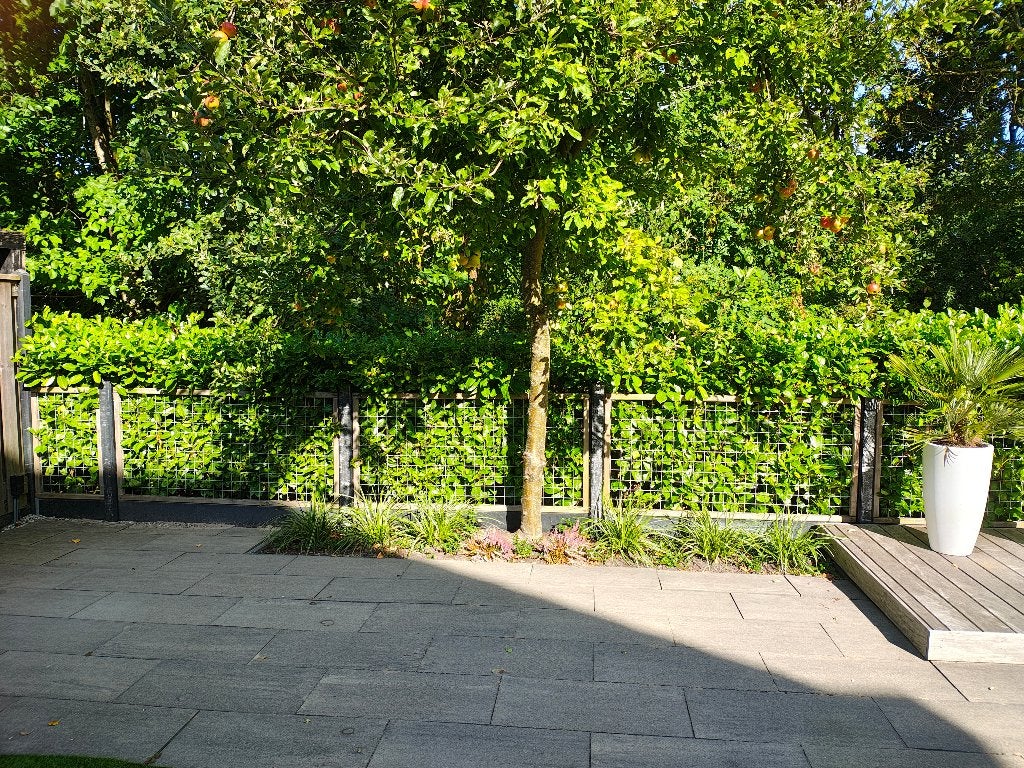 Hekwerk 12m beton hout & gaas, Tuin en Terras, Ophalen, Gebruikt, IJzer, Gaashekwerk