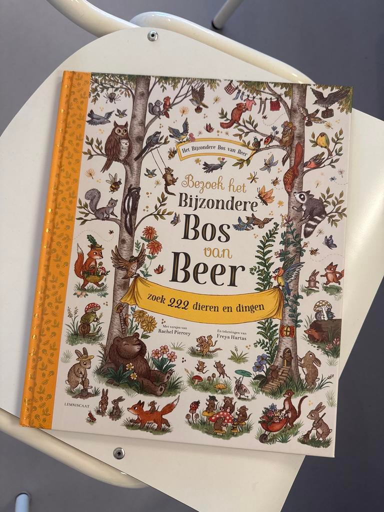 Bezoek het Bijzondere Bos van Beer - Zoekboek, Ophalen, Nieuw, Uitklap-, Voel- of Ontdekboek, 3 tot 4 jaar