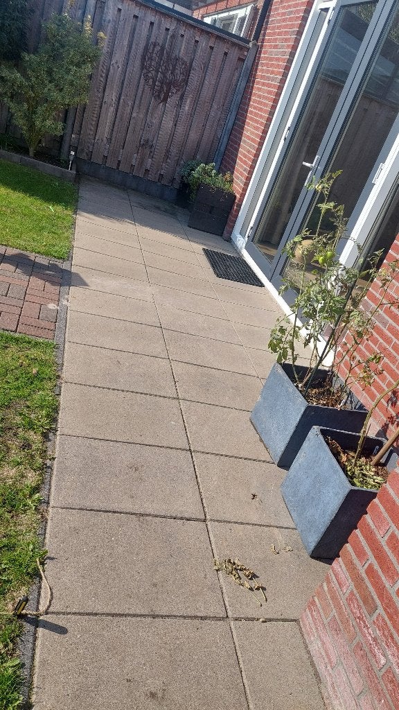 10 M2 Betontegel 60 x 40 cm grijs GRATIS, Ophalen, Gebruikt, 10 m² of meer, Beton