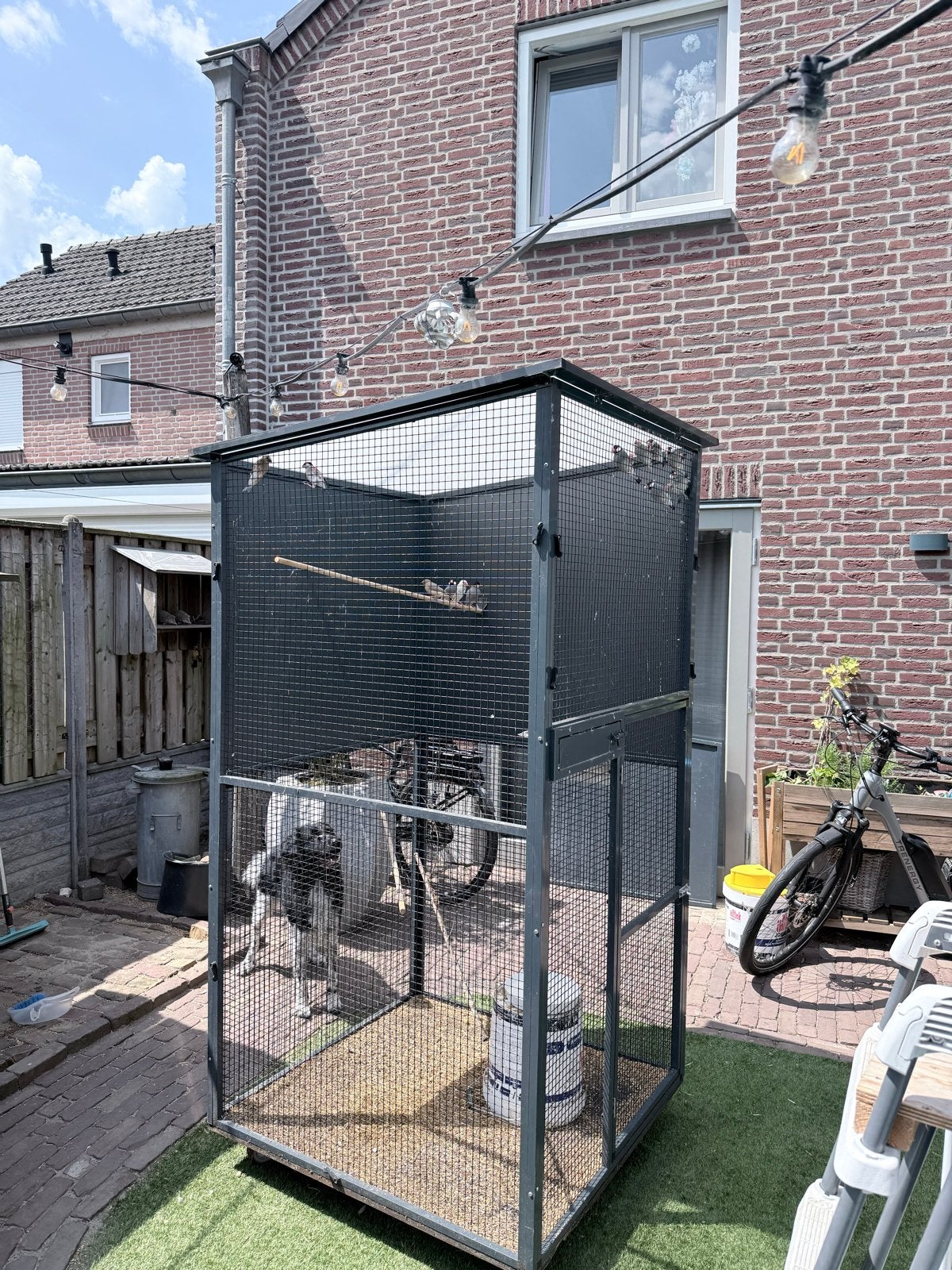 Aluminium Vogelkooi met vogels, Dieren en Toebehoren, Vogels | Hokken en Kooien, Ophalen, Gebruikt, Aluminium, Vogelkooi
