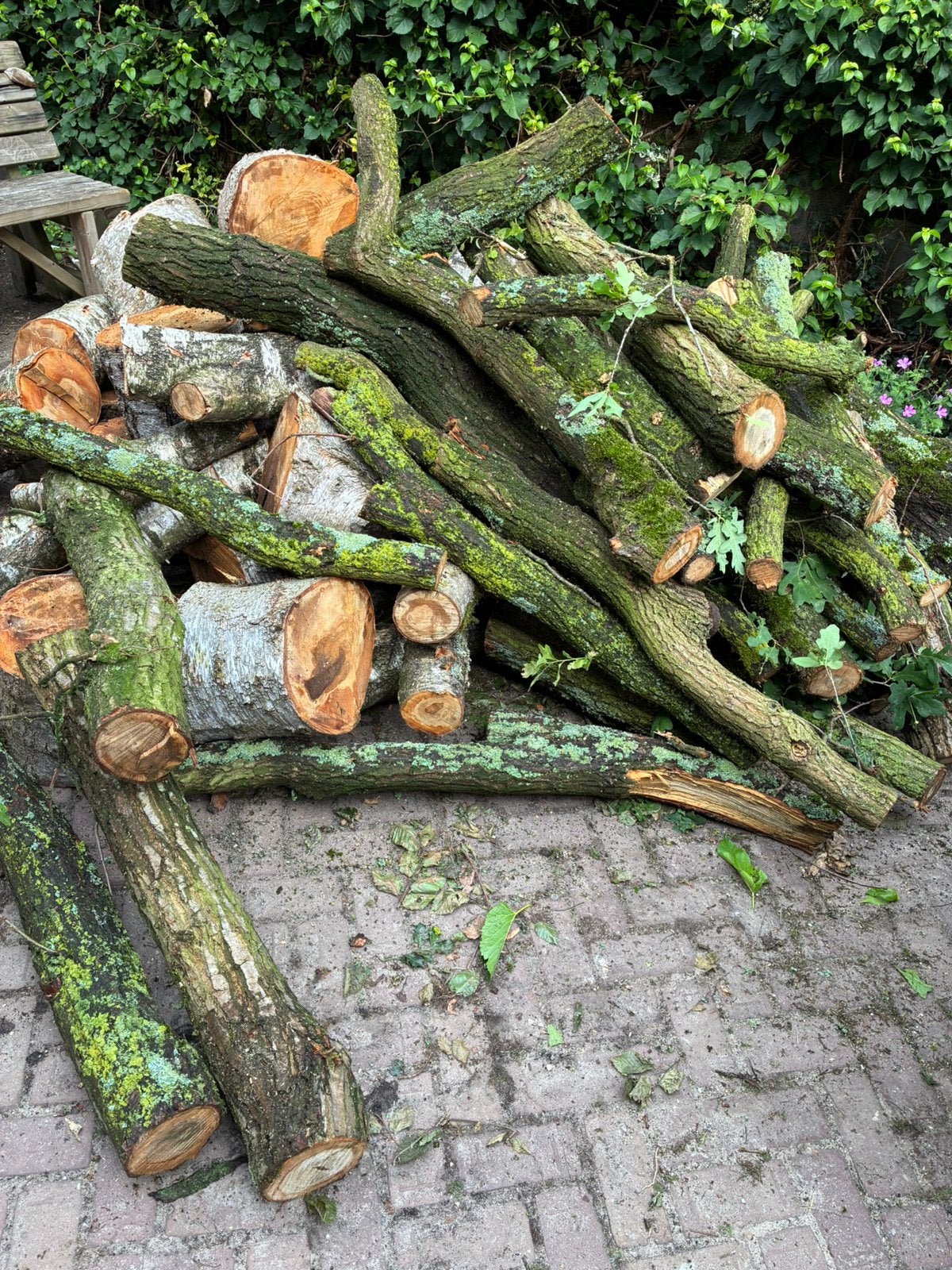 Haardhout eiken berk, Minder dan 3 m³, Ophalen of Verzenden