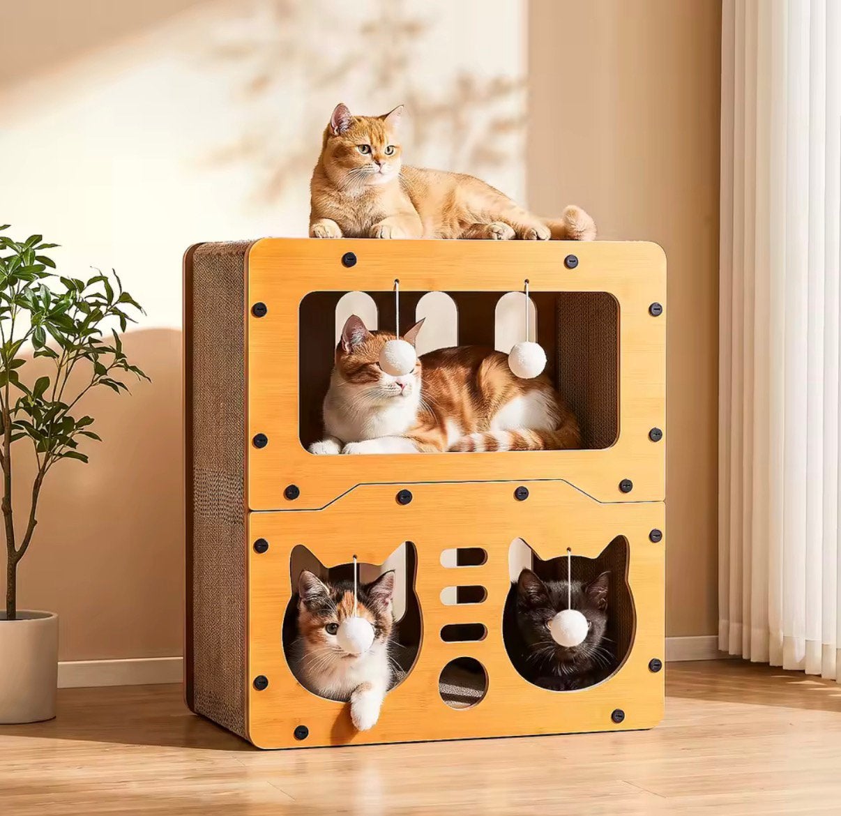 Kattenhuis | Karton | DIY Bouwpakket | Nieuw in doos, Ophalen of Verzenden, Nieuw, Overige