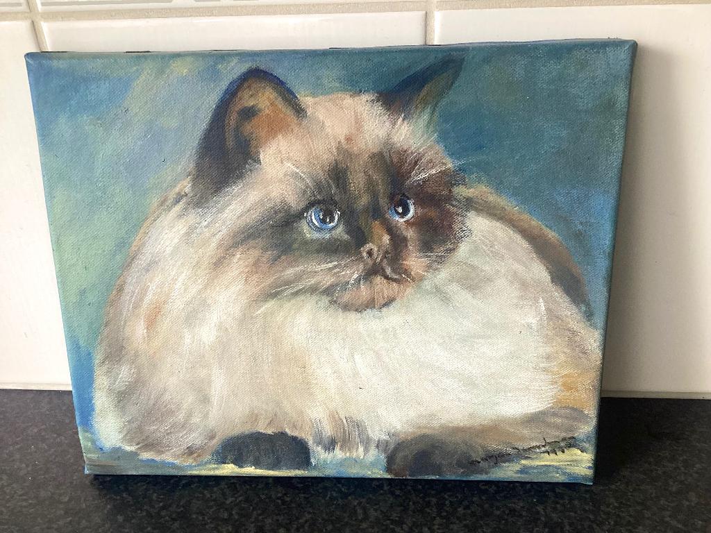 Zelf geschilderd poezen schilderij, Antiek en Kunst, Ophalen of Verzenden