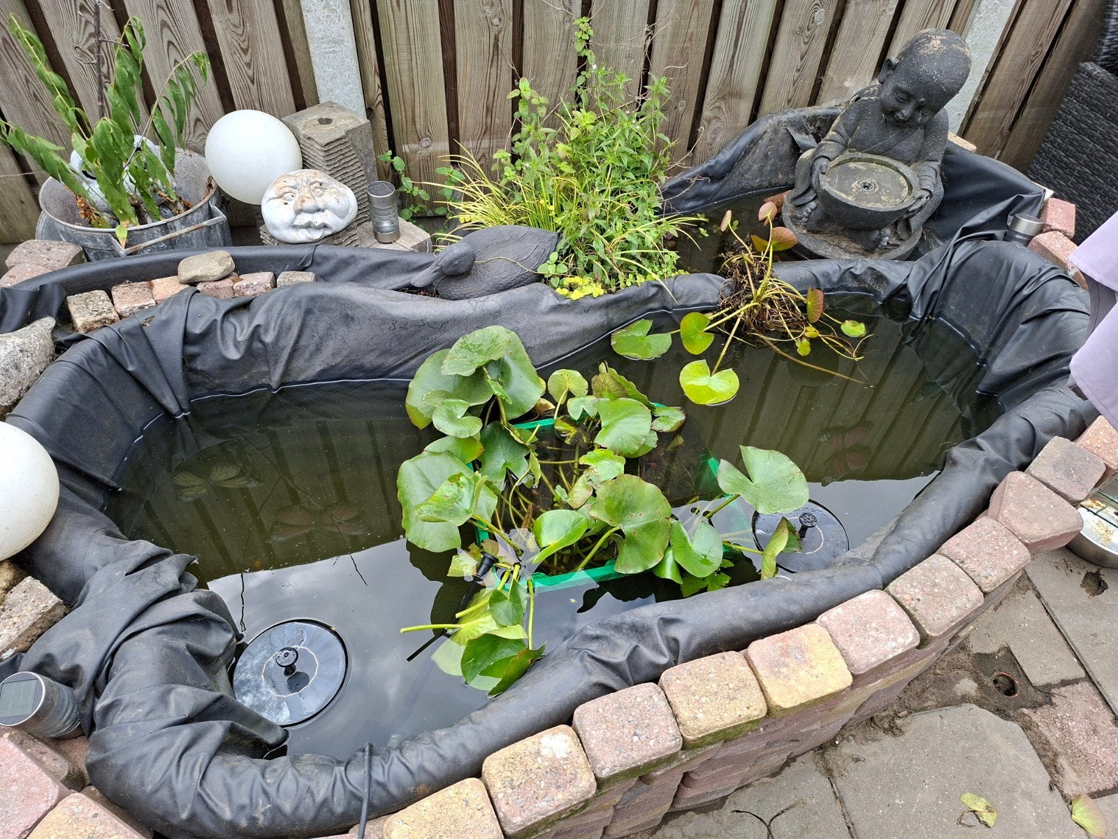 gratis vijfer zonder waterledies, Ophalen