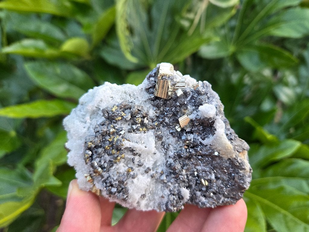 Galeniet, Kwarts en Pyriet, Ophalen of Verzenden, Mineraal