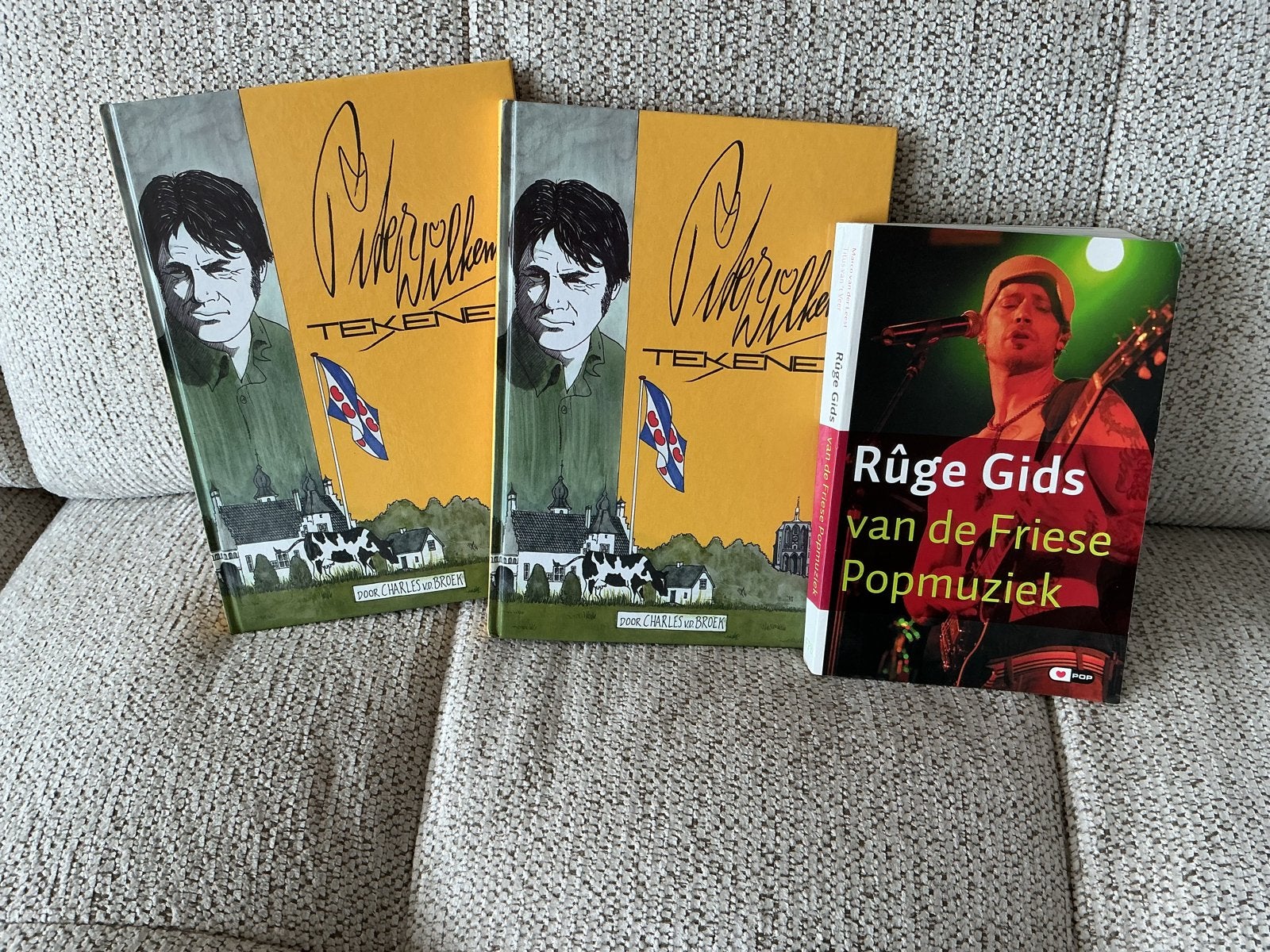 Boeken: Rûge Gids Friese Popmuziek & Piter Wilkens Tekent, Boeken, Ophalen of Verzenden, Zo goed als nieuw, Nederland