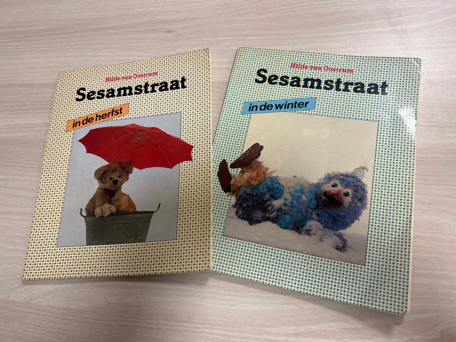 Sesamstraat boeken uit 1981 - In de herfst & In de winter, Boeken, Ophalen of Verzenden, Gelezen, Fictie algemeen
