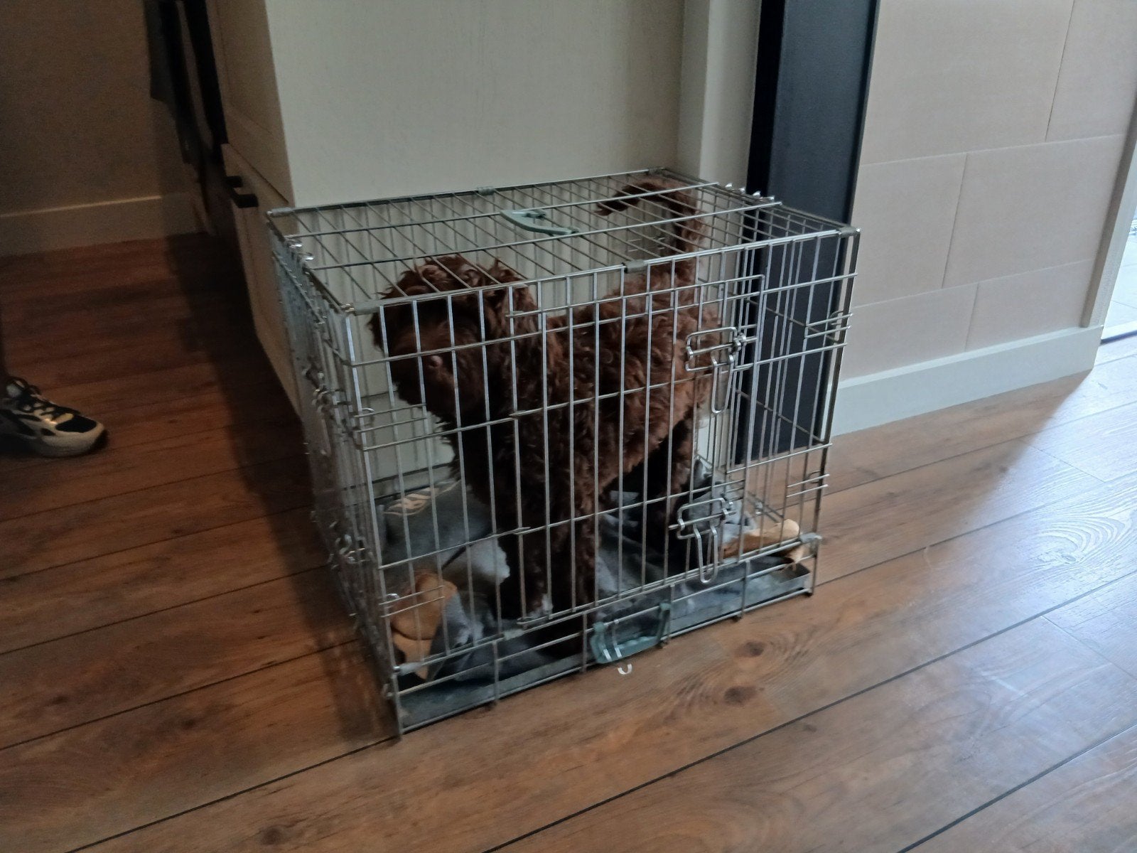 hondenbench, Dieren en Toebehoren, Ophalen of Verzenden, Gebruikt, Minder dan 75 cm, Minder dan 65 cm
