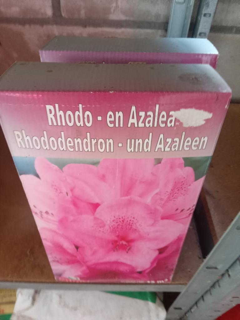 Rhododendron en Azalea Planten, Ophalen of Verzenden, Overige soorten, Halfschaduw