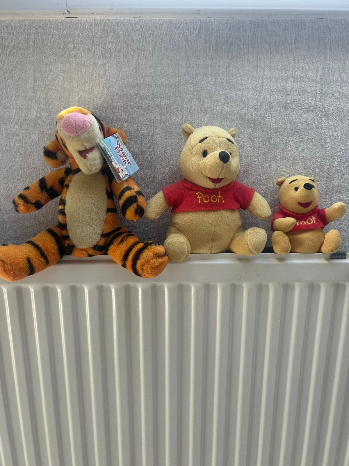 Disney Winnie The Pooh, Kinderen en Baby's, Speelgoed | Babyspeelgoed, Ophalen of Verzenden, Nieuw, Overige typen