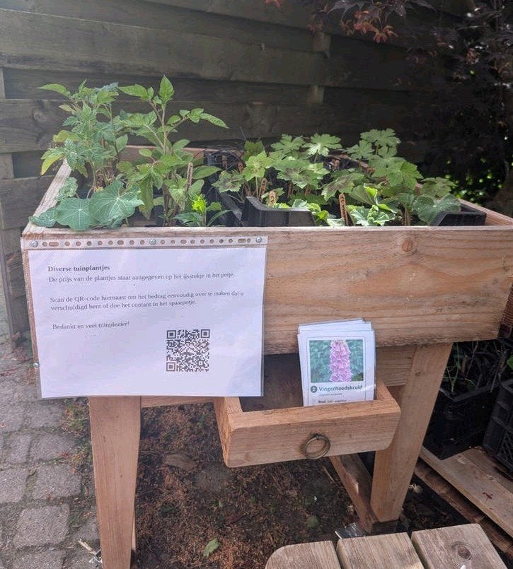 Plantjes aan de weg voor ( vaste plantjes en tomatenplanten), Tuin en Terras, Bloembakken en Plantenbakken, Minder dan 30 cm, Rond