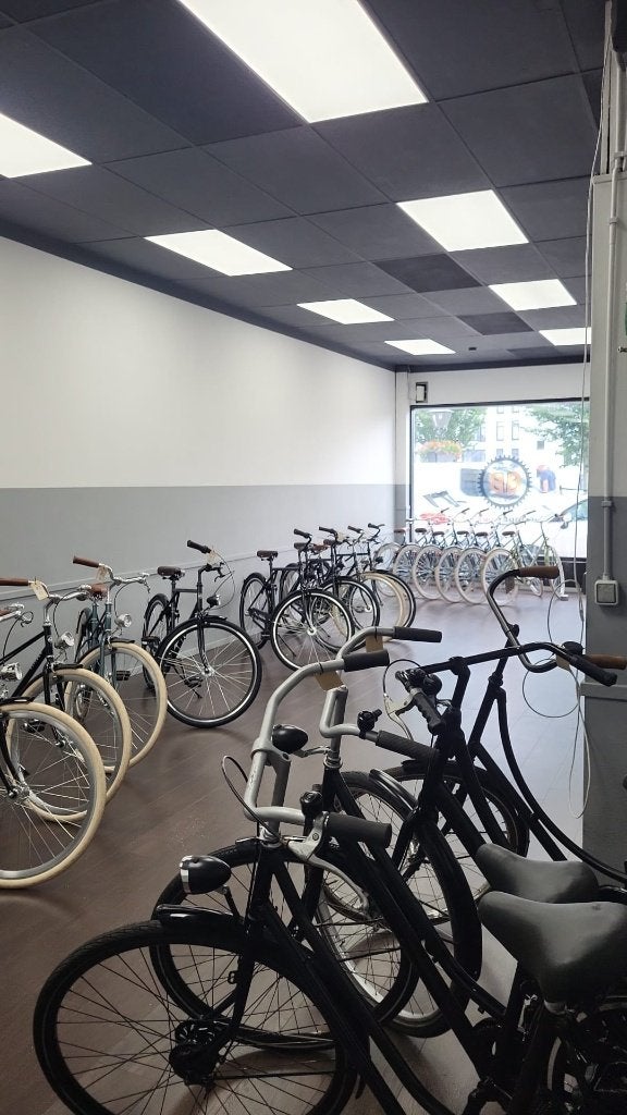 Stadsfietsen | Gebruikt | Grote voorraad |, Ophalen, Budget Bike XL, Info@budgetbike.nl, Nieuw