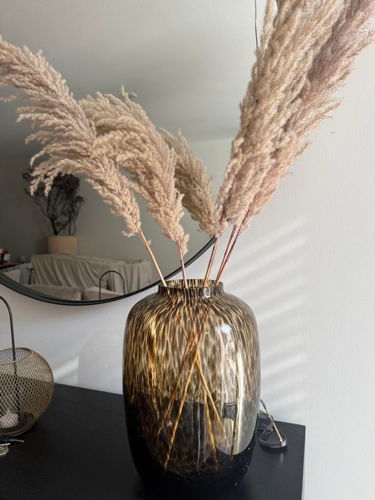 Vaas, Ophalen, Overige kleuren, Minder dan 50 cm, Glas