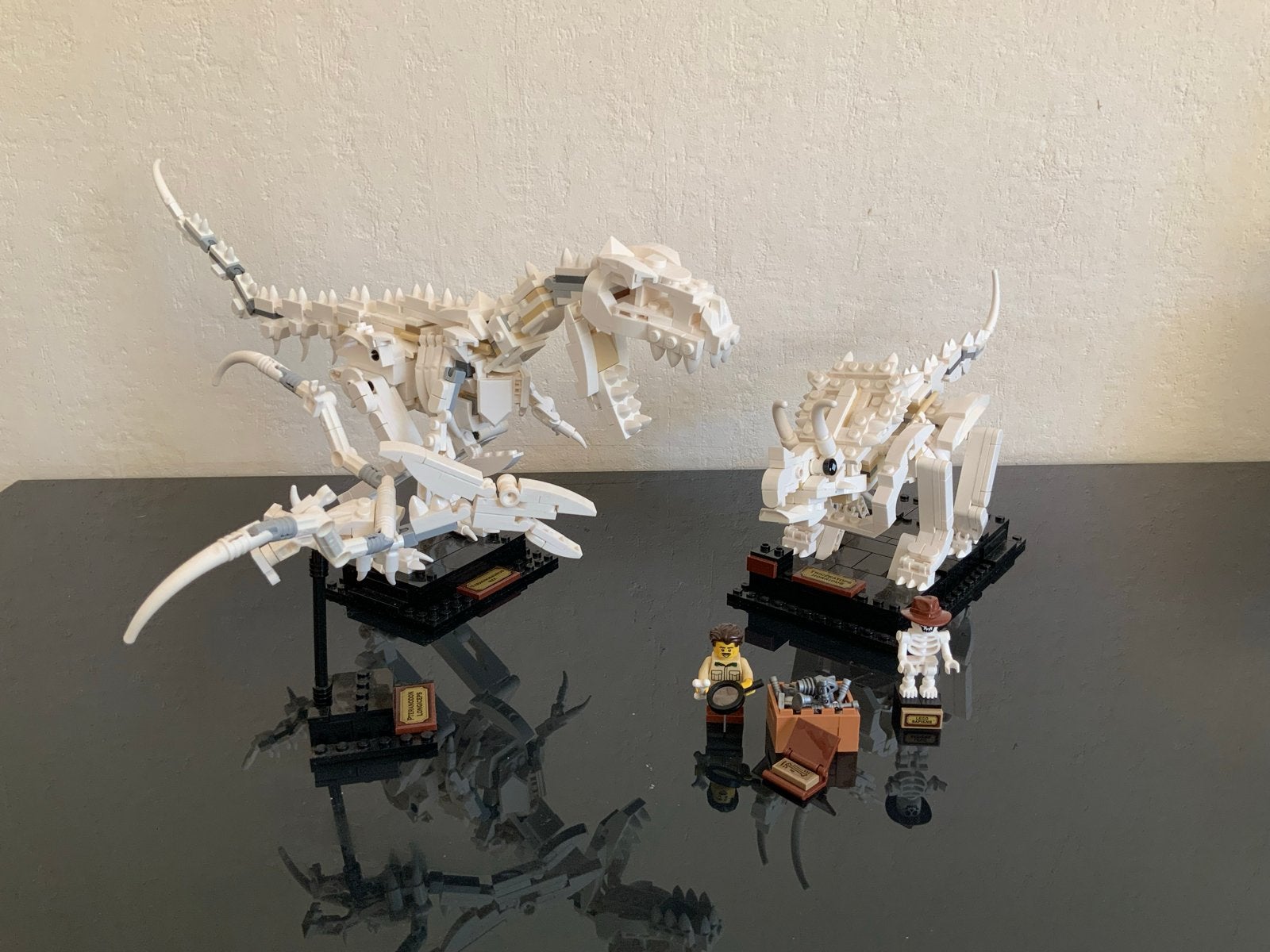 LEGO Ideas 21320 Dinosaurusfossielen, Ophalen of Verzenden, Zo goed als nieuw