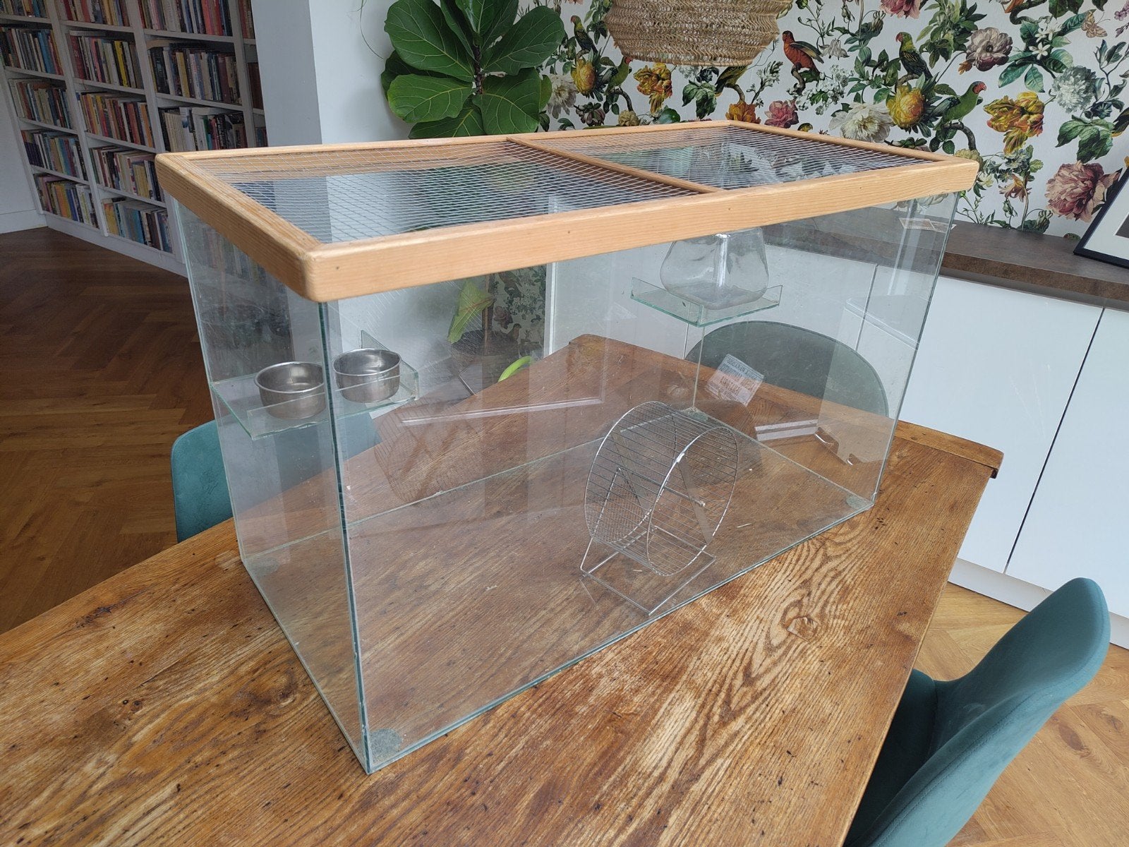 Glazen knaagdierenverblijf; 85 cm x 50 cm x 40 cm, Dieren en Toebehoren, Kooi, Muis, 75 tot 110 cm, Ophalen