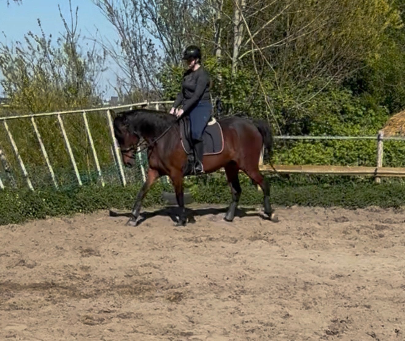 Bijrijder aangeboden / bijrijdpaard gezocht, Dieren en Toebehoren, Paarden en Pony's | Overige Paardenspullen, Ophalen of Verzenden