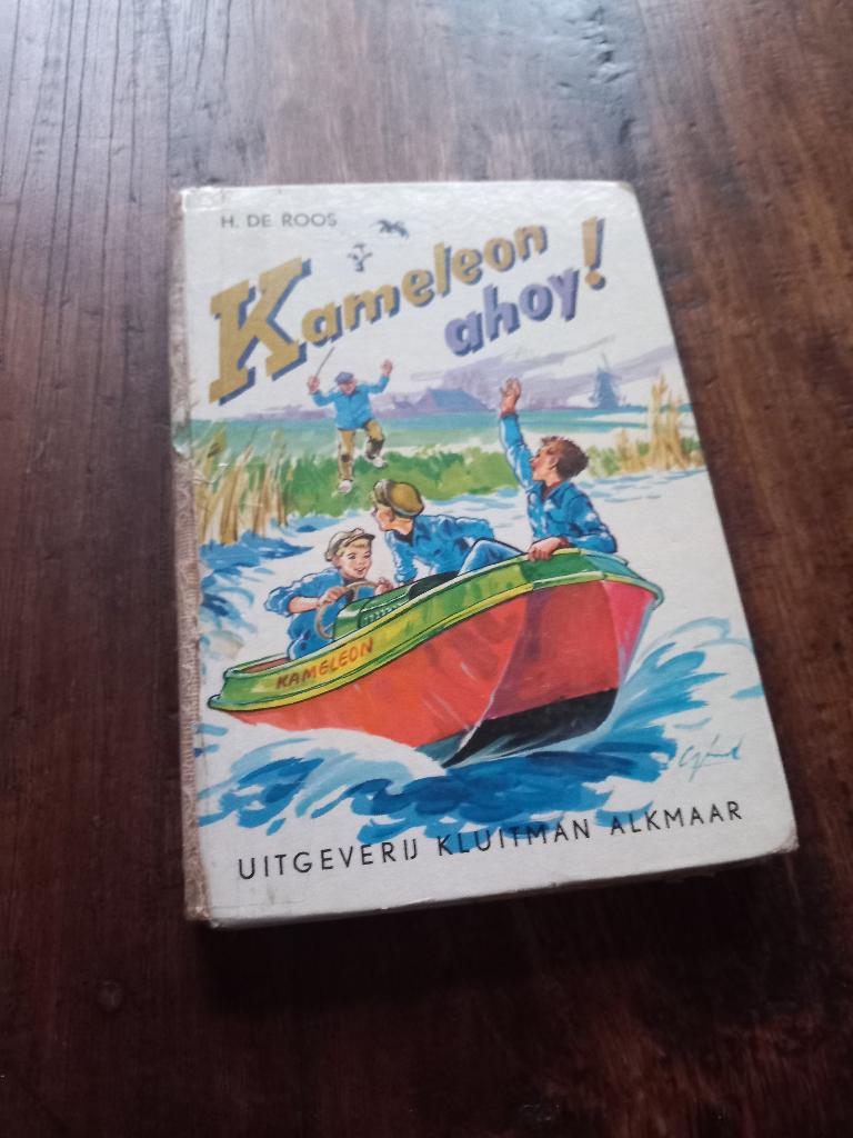 de Kameleon (diverse boeken), Ophalen of Verzenden, Gelezen, Hotze de Roos