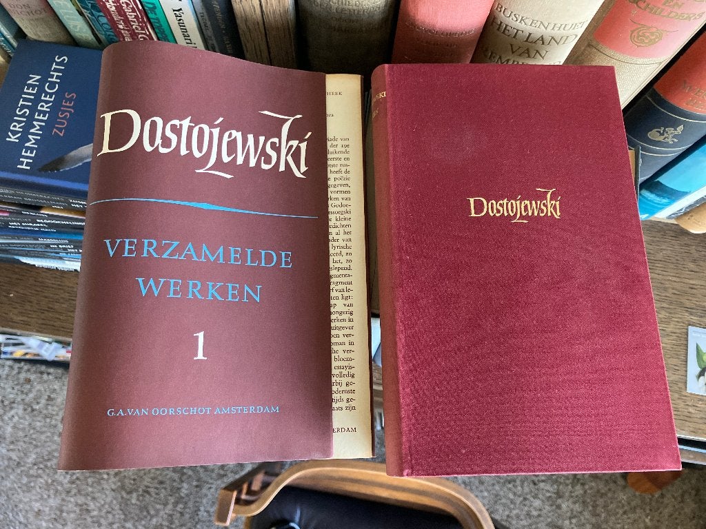 Collectie Russische Literatuur: 38 boeken in 1 koop, Boeken, Wereld overig, Diverse auteurs, Ophalen, Gelezen
