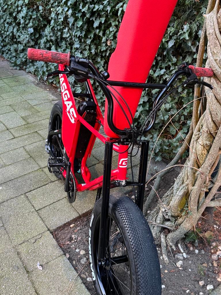 Gasgas Moto 1 E-bike - Zo goed als nieuw, incl. oplader, Fietsen en Brommers, Fietsen | Crossfietsen en BMX, Zo goed als nieuw