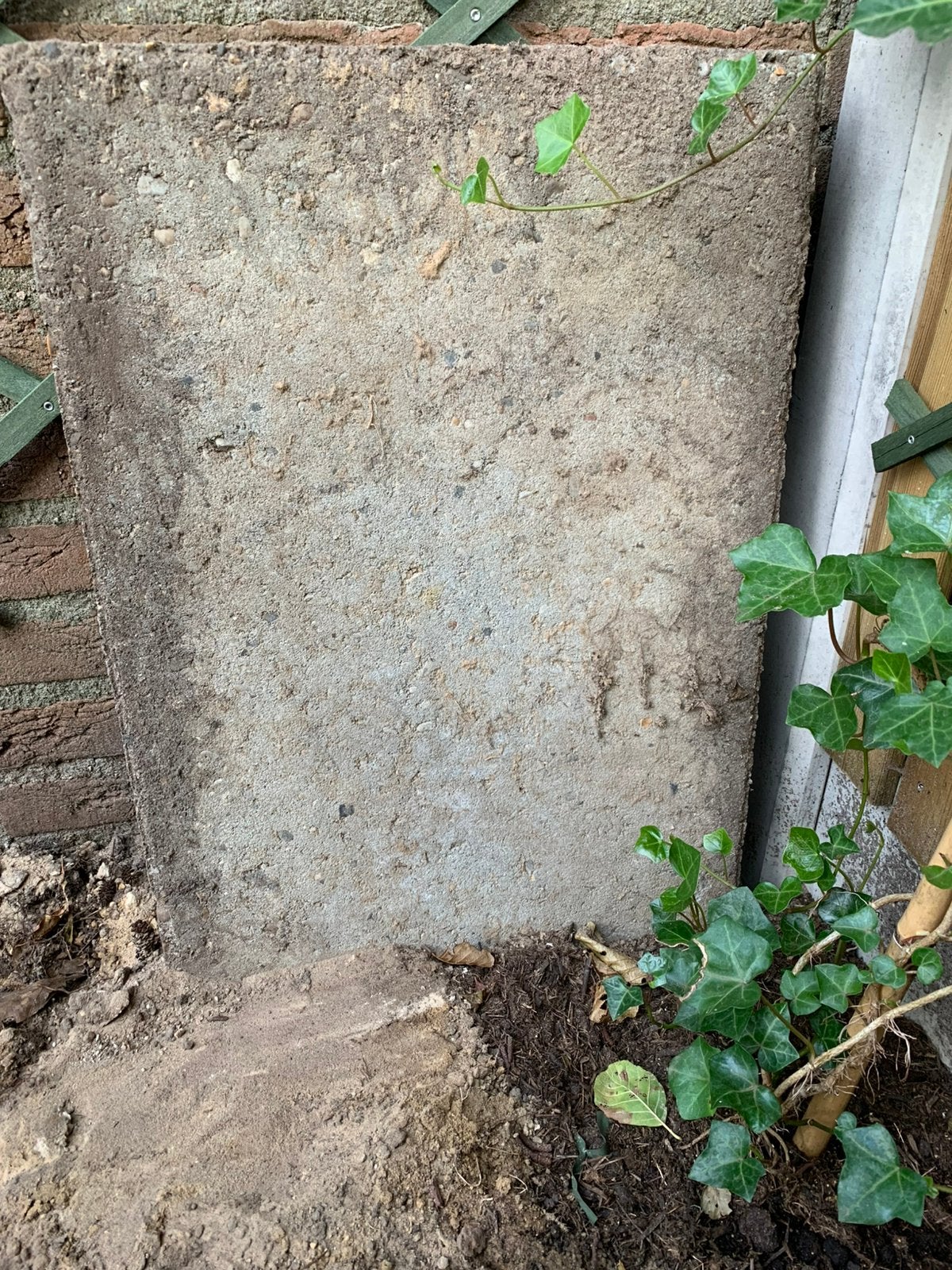Gratis hele tuintegels + regenton, Tuin en Terras, Tegels en Klinkers, Ophalen, Gebruikt, Overige materialen, Terrastegels