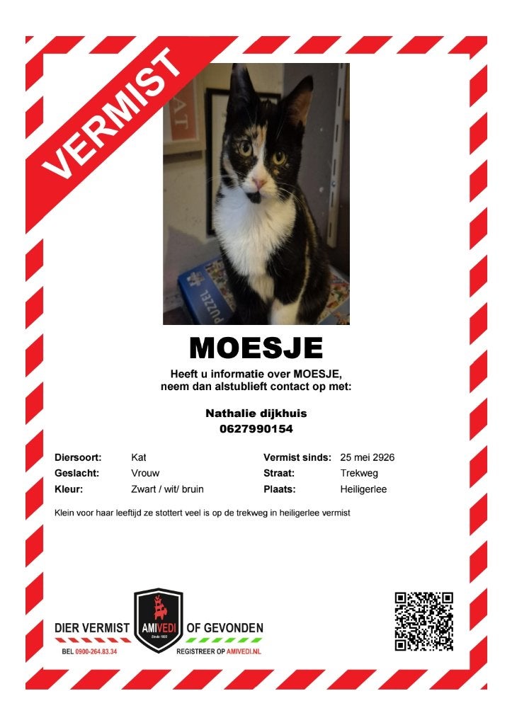 Moesje vermist, Kat