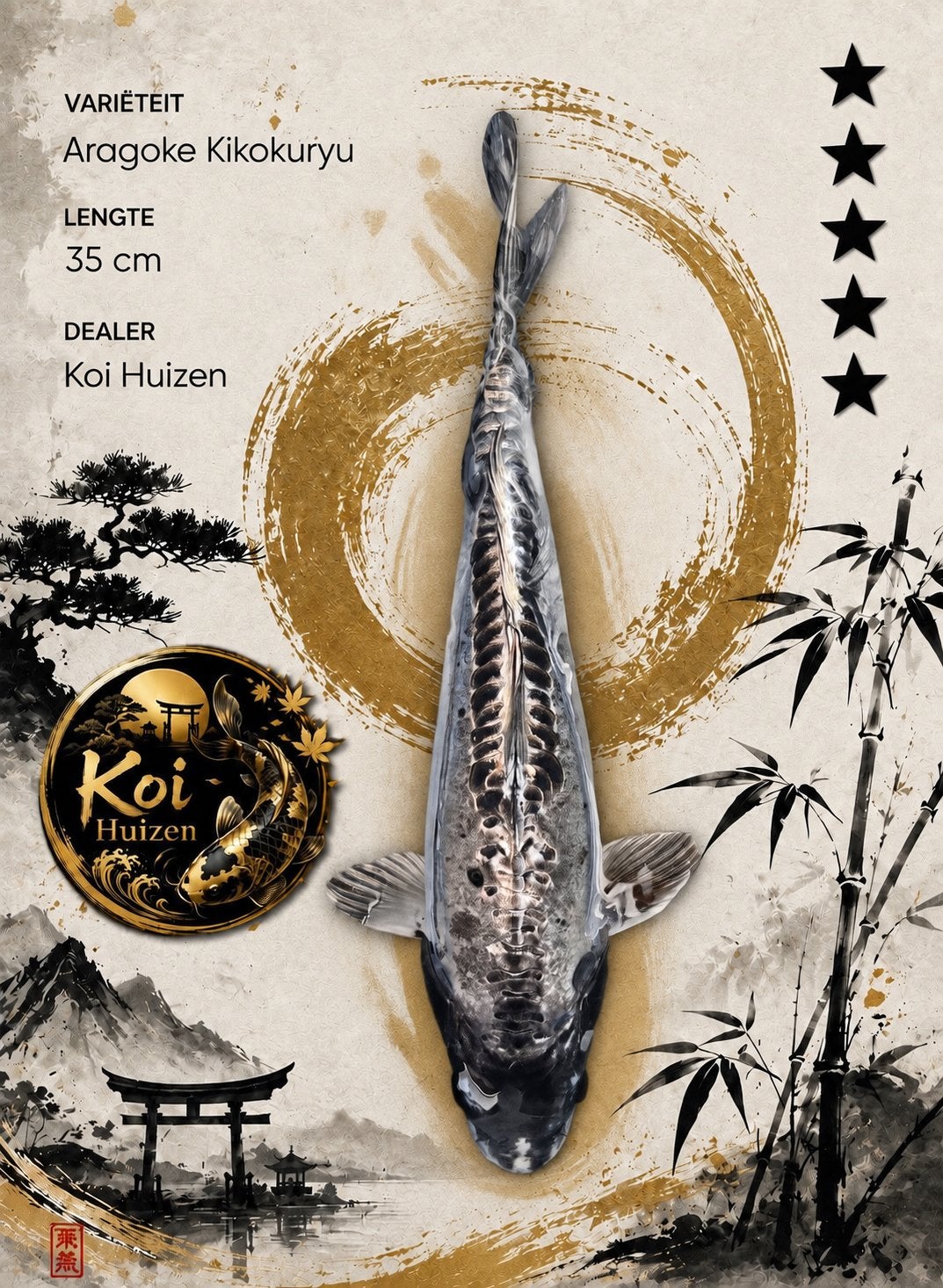 Aragoke koi 35cm, Dieren en Toebehoren, Karper of Koi