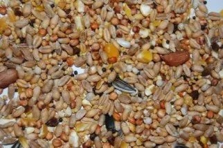 Strooivoer 20kg, Dieren en Toebehoren, Dierenvoeding, Ophalen of Verzenden, Vogel