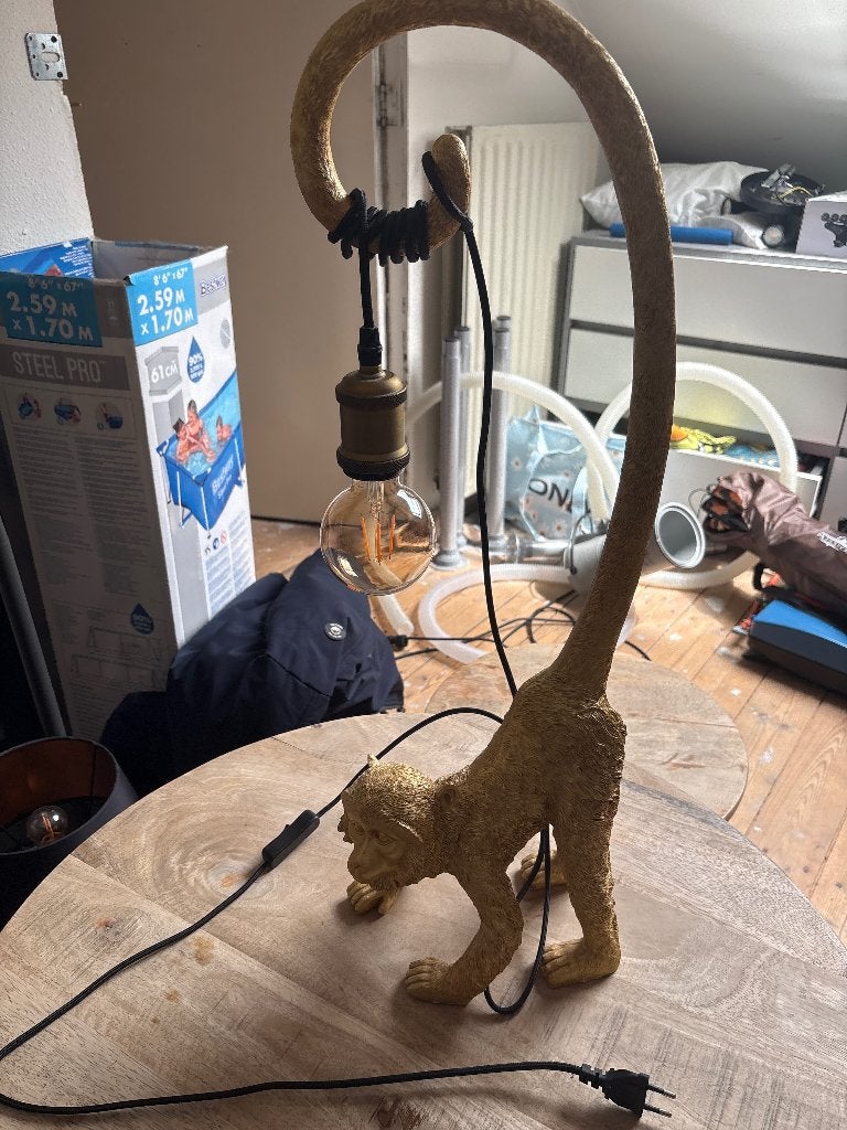 Lamp, Ophalen, Zo goed als nieuw, Minder dan 50 cm