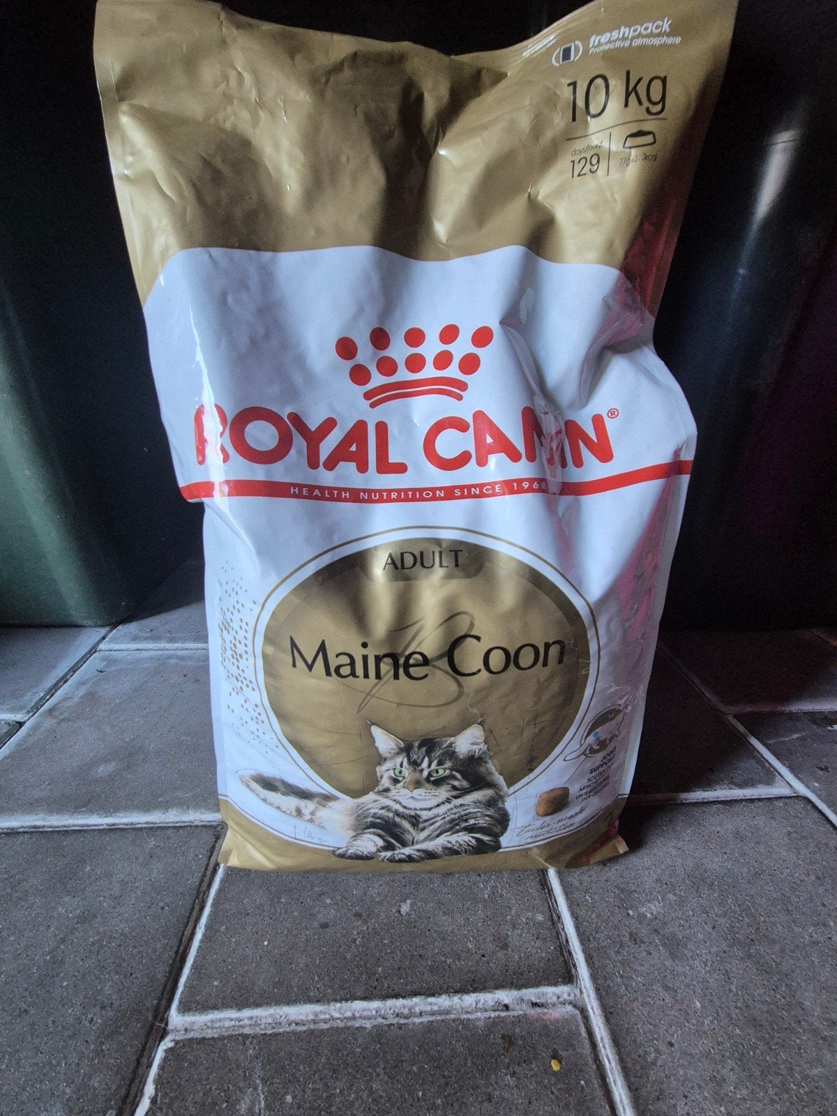 Royal canin 10 kg Mainecoon adult. Nieuw!, Dieren en Toebehoren, Ophalen, Nieuw
