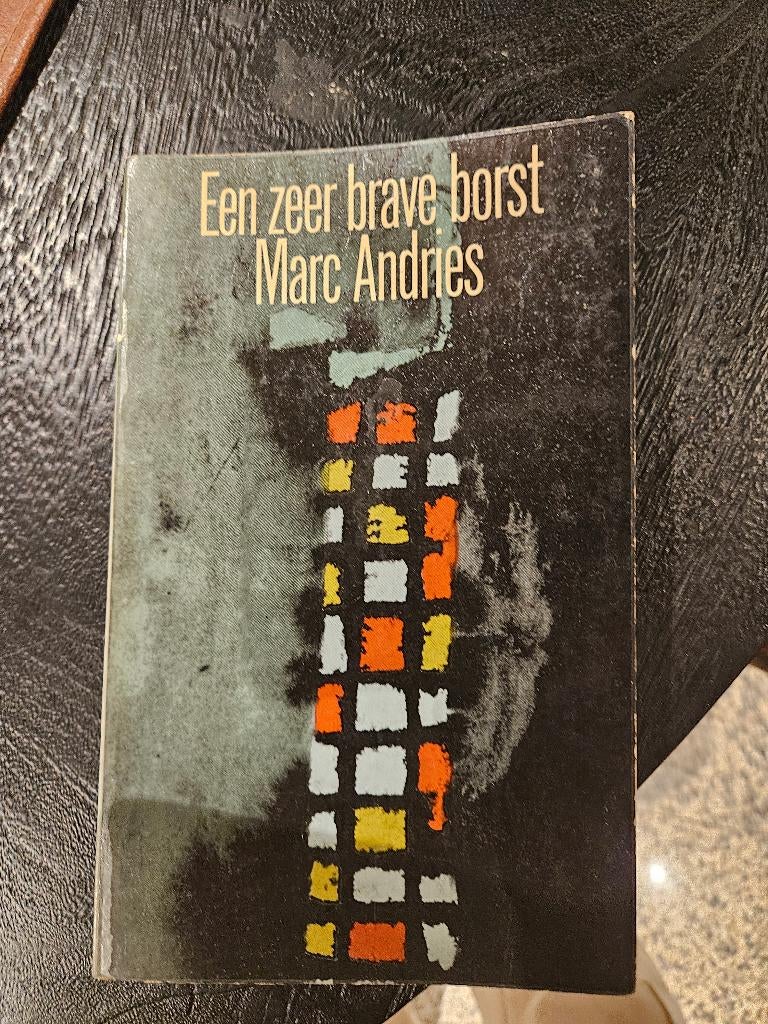 Marc Andries - een zeer brave borst, Ophalen of Verzenden, Gelezen