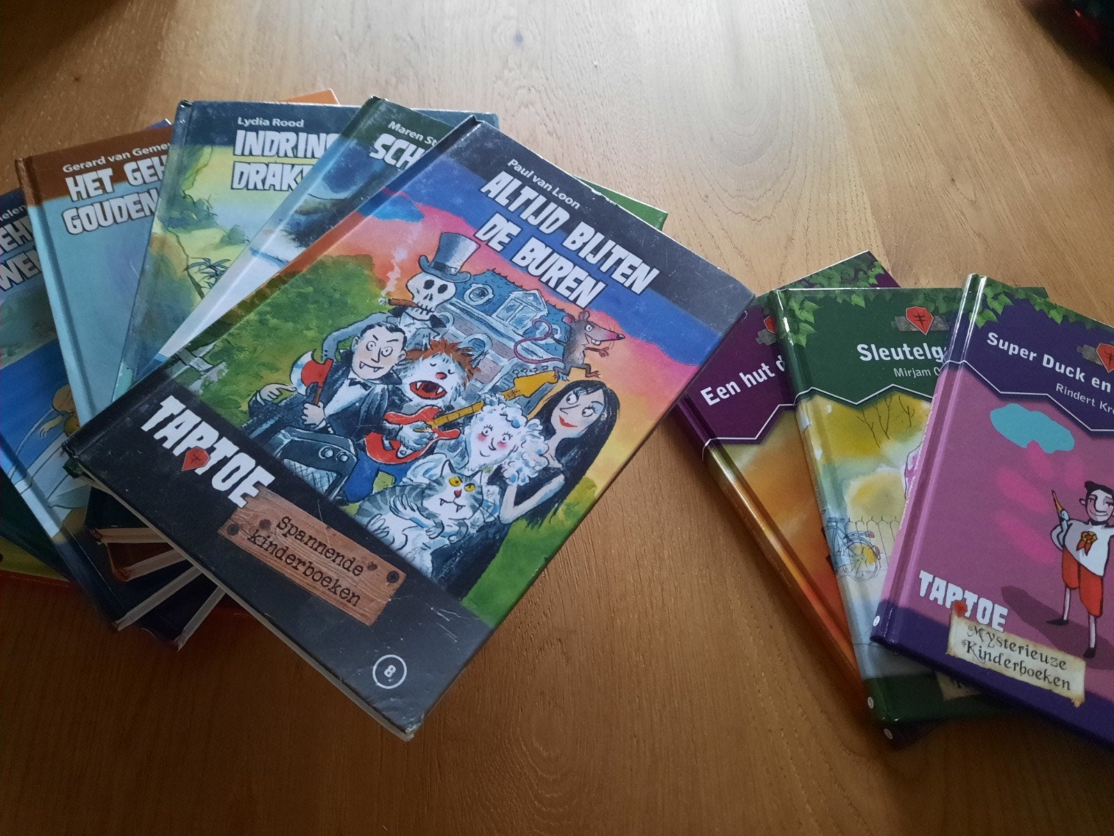 17 leesboeken ZGAN voor 17 euro, Boeken, Ophalen of Verzenden, Zo goed als nieuw, Fictie algemeen