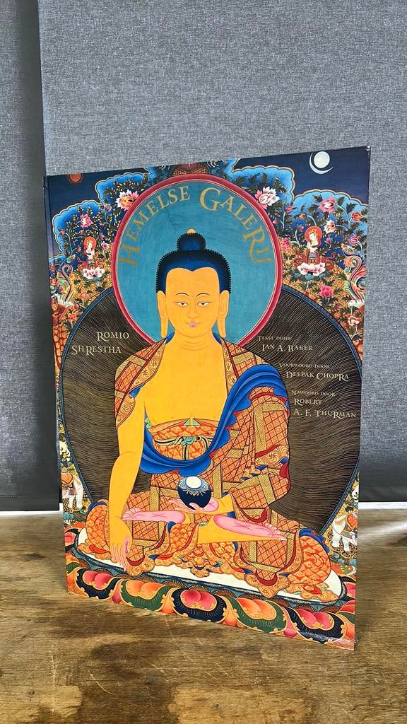 Groot boek Hemelse Galerij. Romio ShRestha., Ophalen of Verzenden, Zo goed als nieuw, Boek